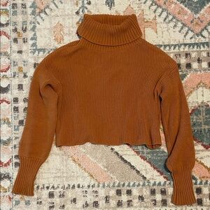 Cozy Crop Burnt Orange Turtleneck Sweater